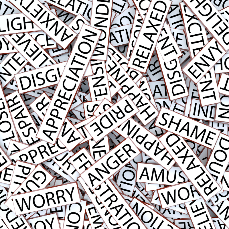 EP.181: Processing Emotions